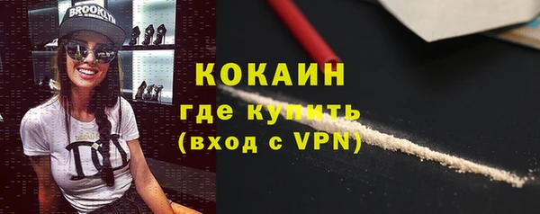 тгк Алзамай