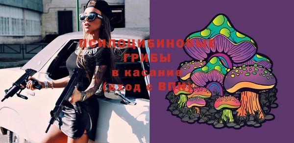 тгк Алзамай