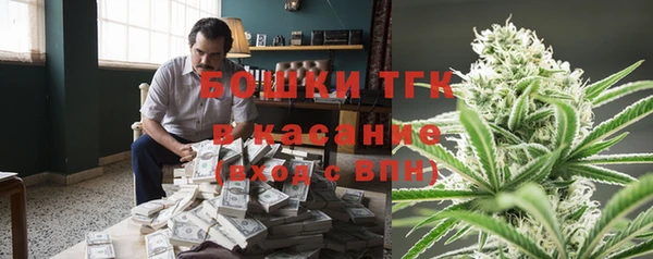 тгк Алзамай