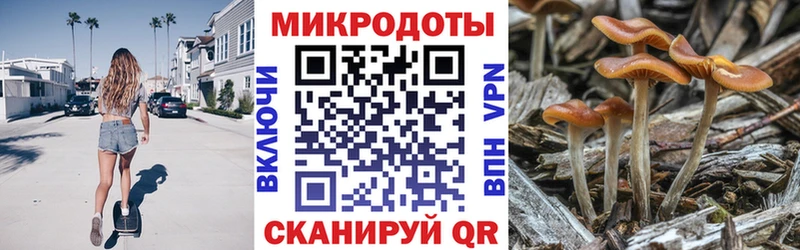 Псилоцибиновые грибы Magic Shrooms  Мураши 